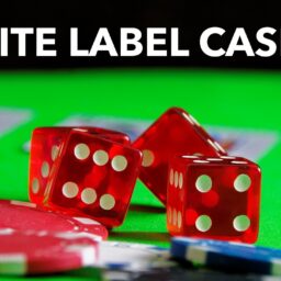 white label casino